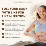 Ancestral Supplements Kidney Health Capsules bottle with nutritional information