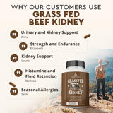 Ancestral Supplements Kidney Health Capsules in a lifestyle setting