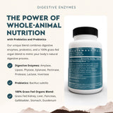 Ancestral Supplements Multi-Enzymes 420g side view