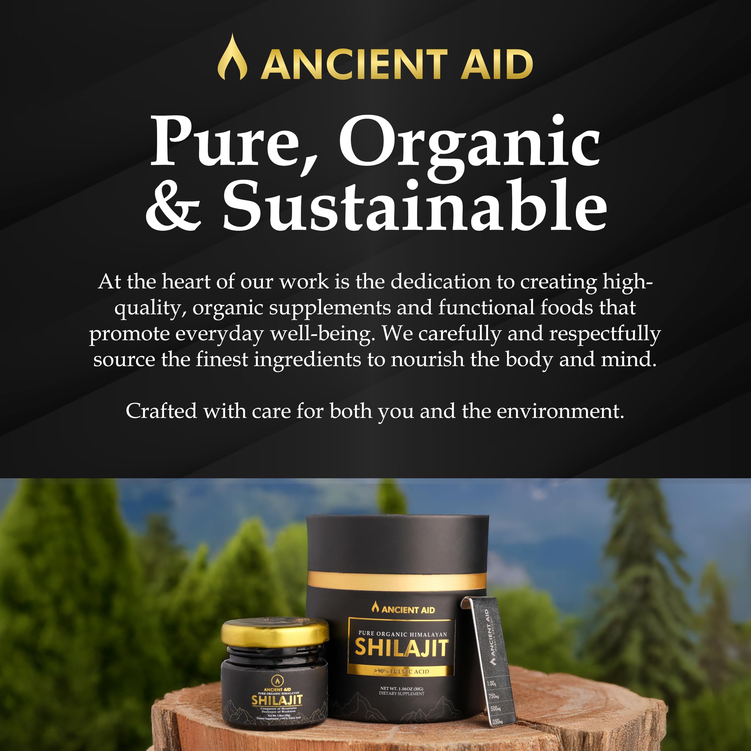 Ancient Aid Himalayan Shilajit Resin ingredients list