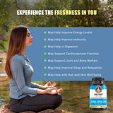 Ancient Bliss Alpha Lipoic Acid 600 mg Capsules on a wooden table
