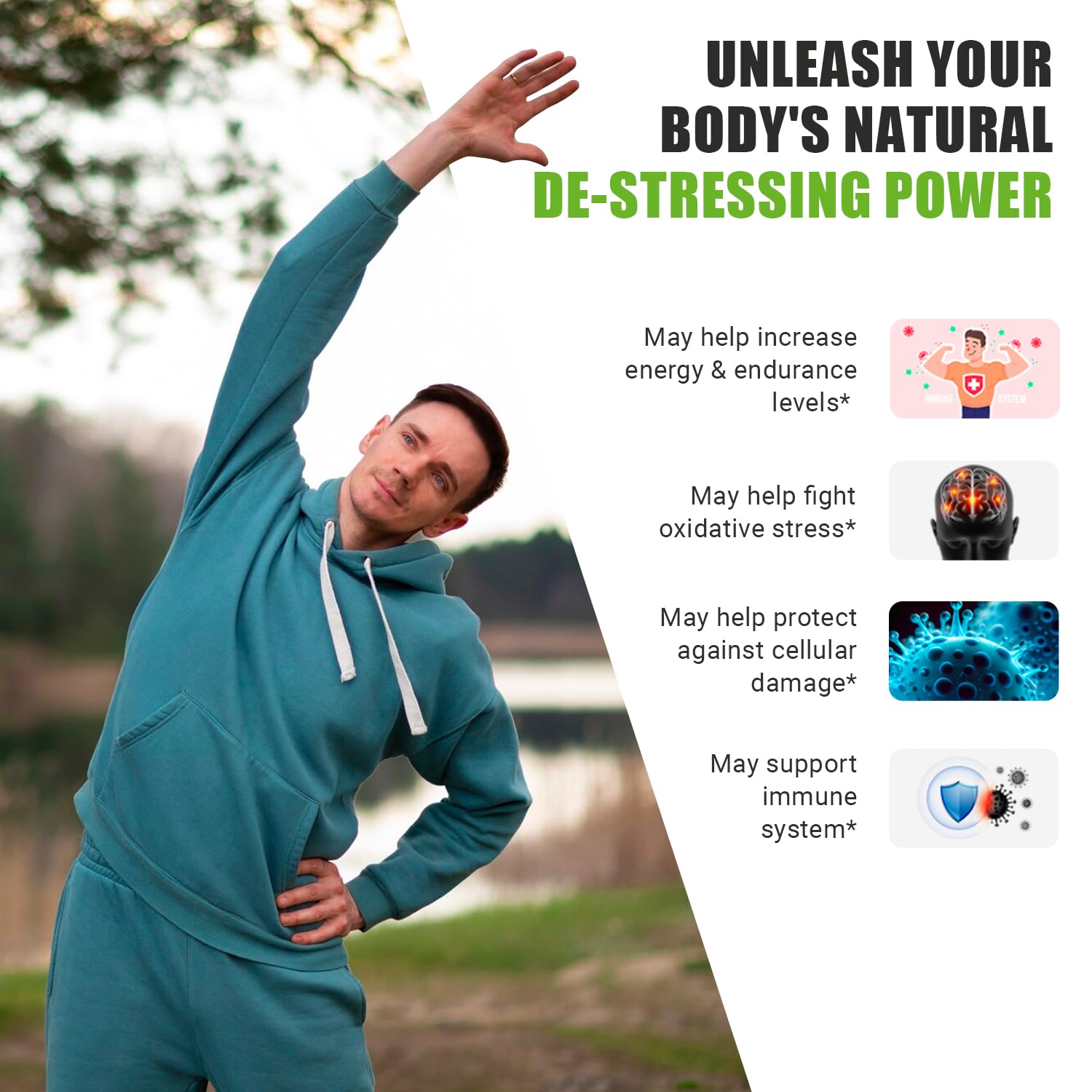 Ancient Bliss Lion’s Mane Mushroom Supplement in a lifestyle setting