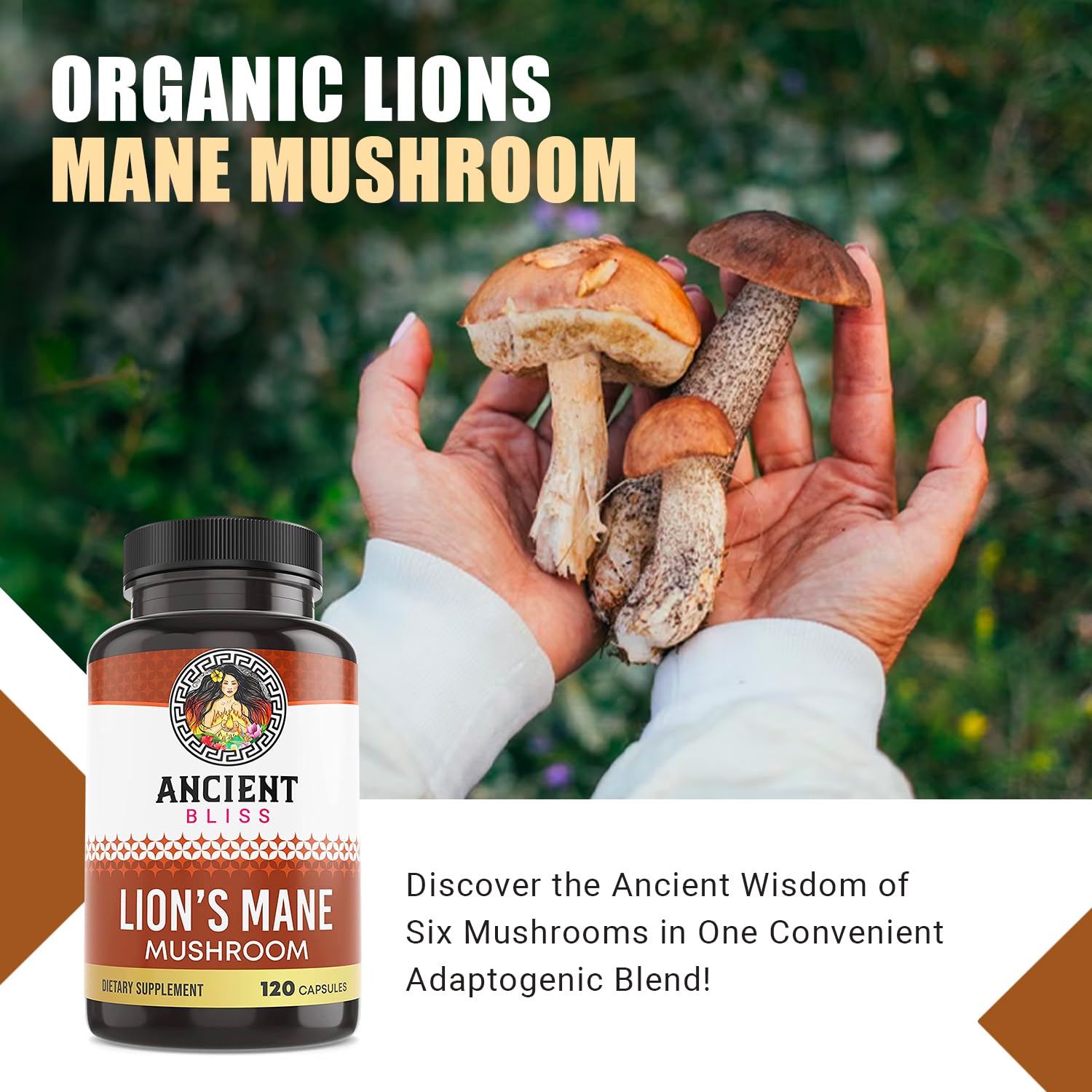 Ancient Bliss Lion’s Mane Mushroom Supplement packaging