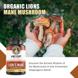 Ancient Bliss Lion’s Mane Mushroom Supplement packaging