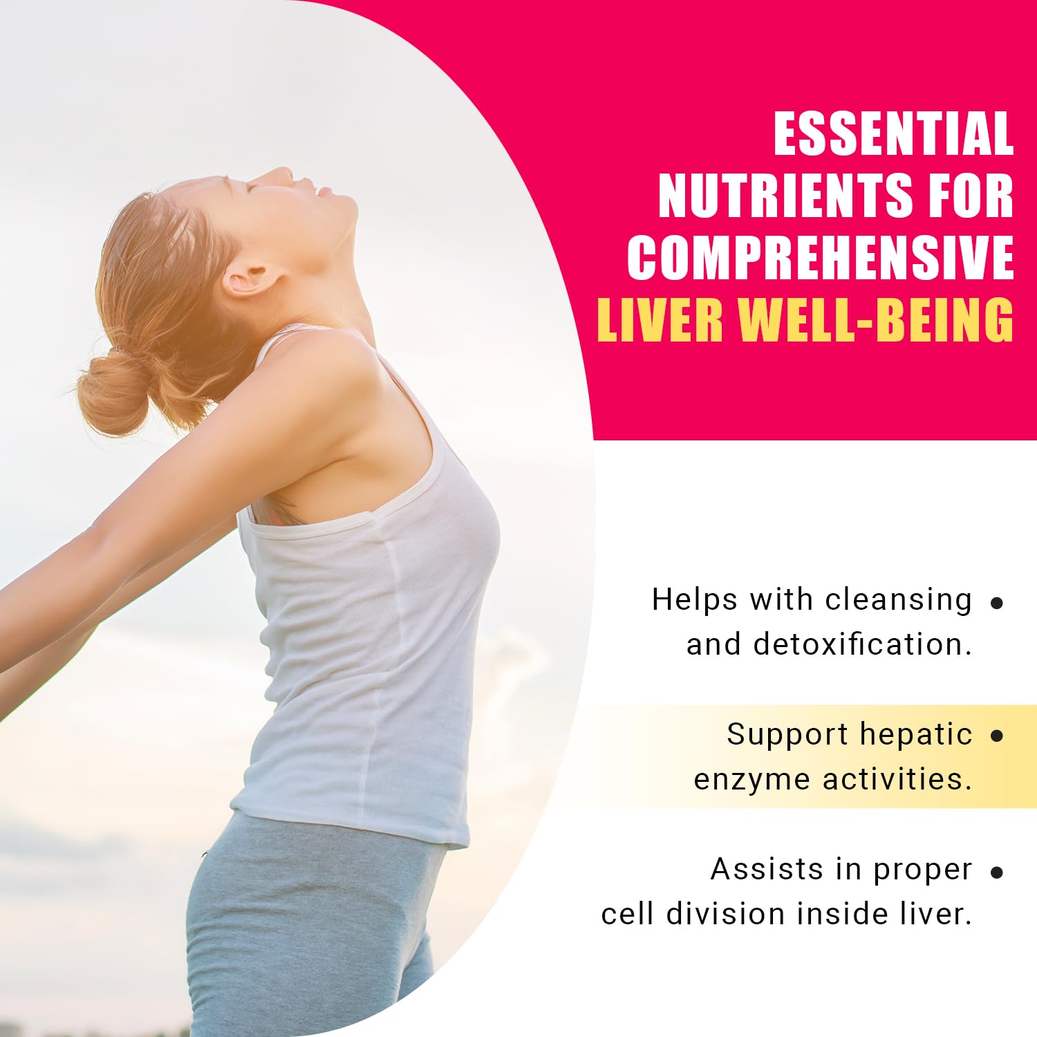 Ancient Bliss Natural Milk Thistle ingredients list
