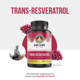 Ancient Bliss Resveratrol Supplement capsules in hand