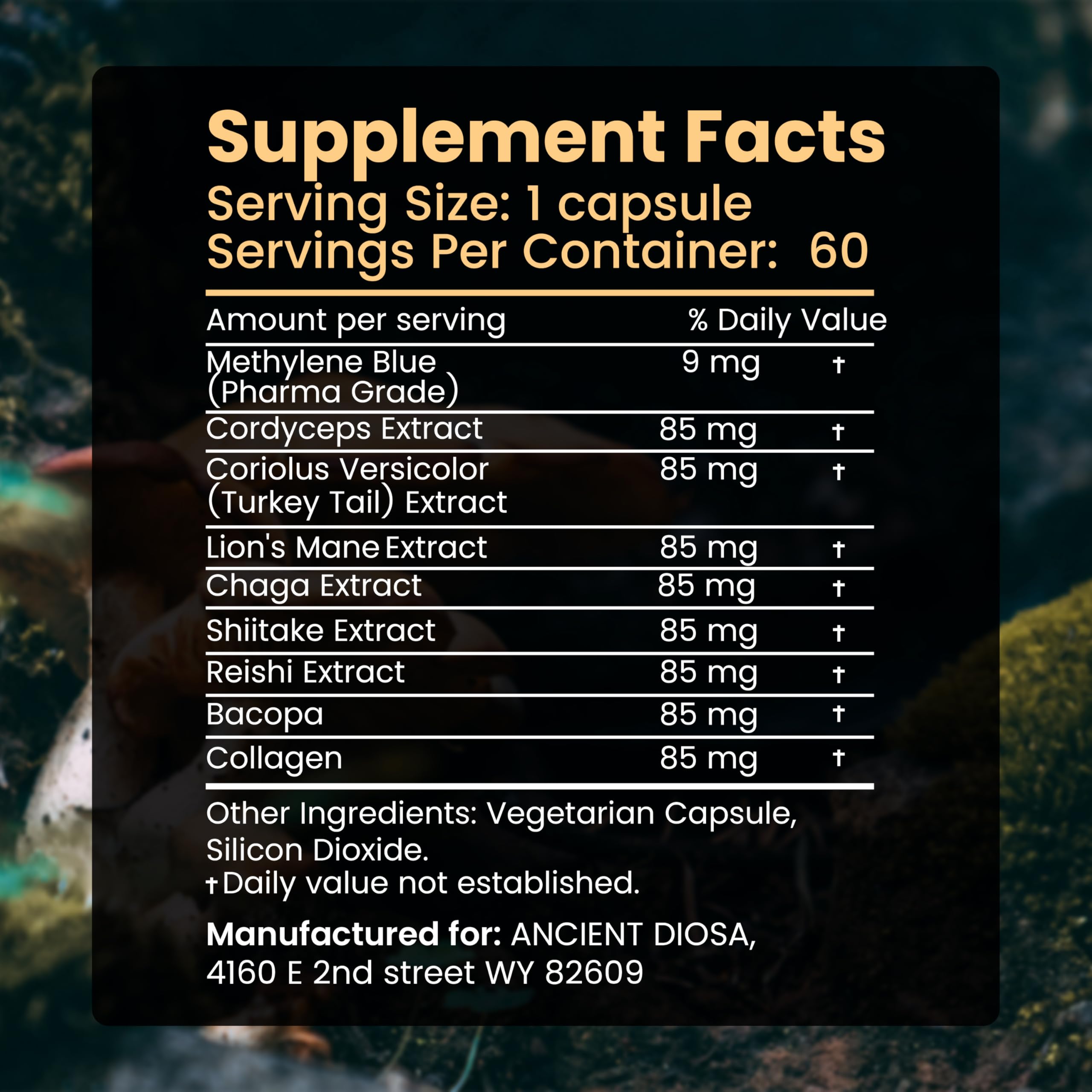ANCIENT DIOSA Methylene Blue and Mushroom Extract Capsules back view