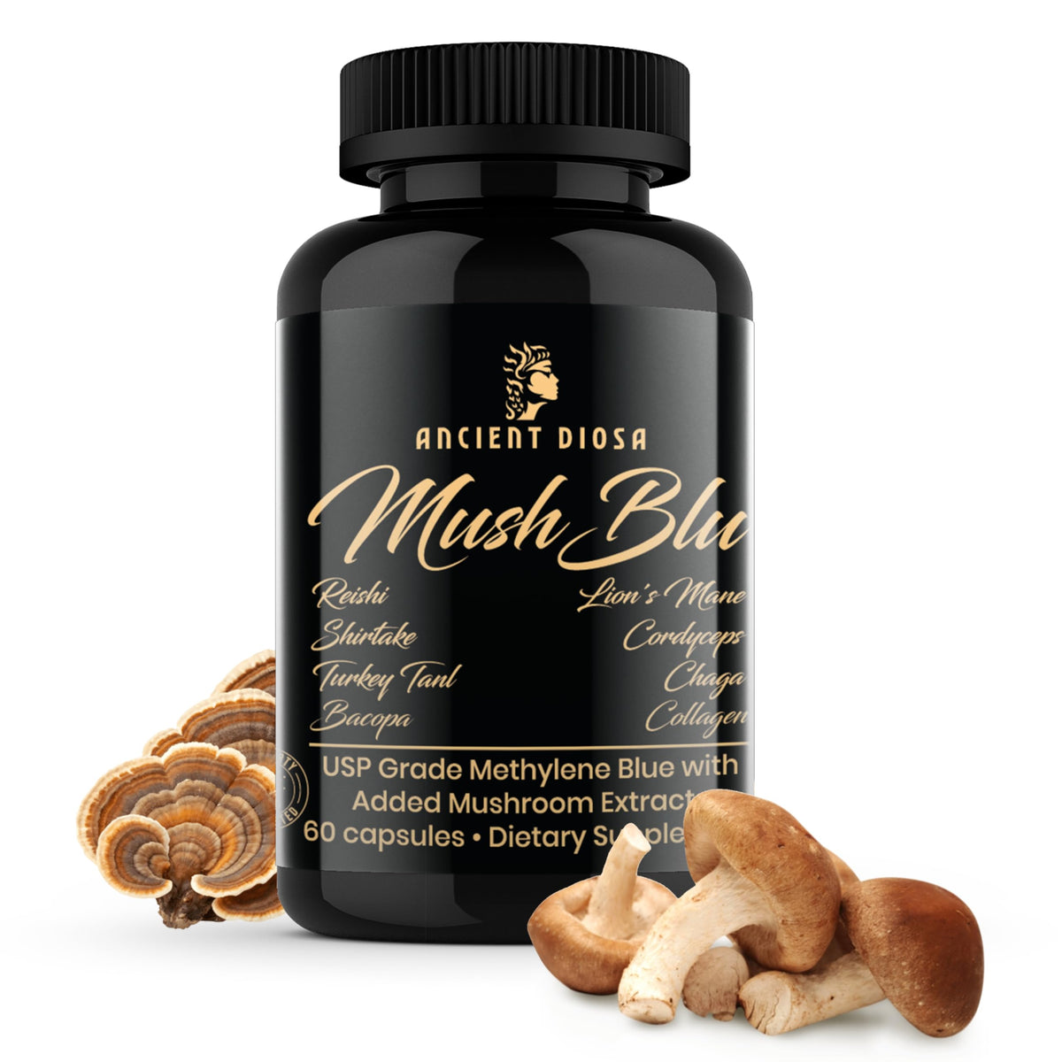 ANCIENT DIOSA Methylene Blue and Mushroom Extract Capsules front view