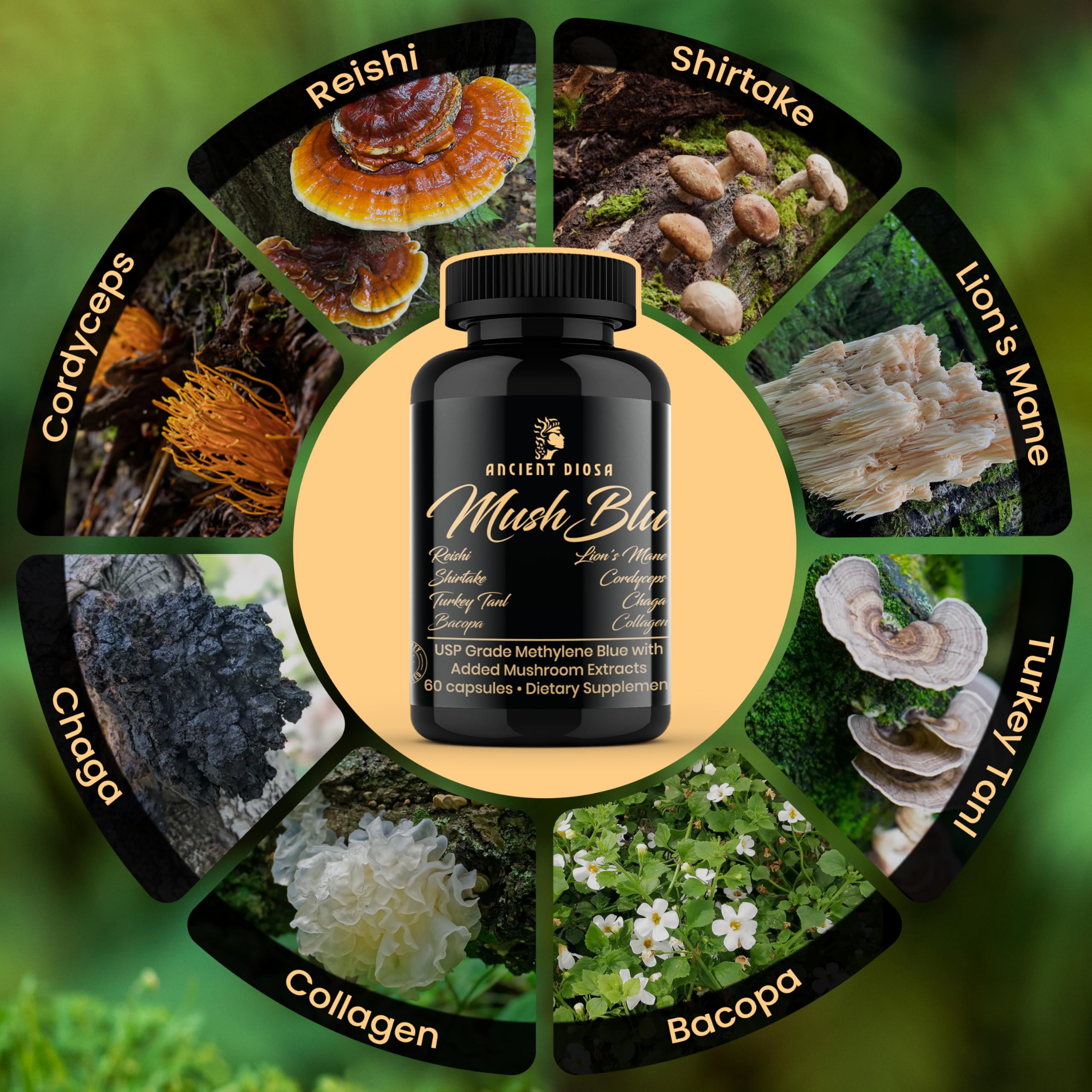 ANCIENT DIOSA Methylene Blue and Mushroom Extract Capsules side view