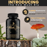 ANCIENT DIOSA Methylene Blue and Mushroom Extract Capsules with ingredients list