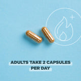 Ancient Nutrition a balanced routine Support Probiotics bottle top view