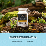 Ancient Nutrition a balanced routine Support Probiotics displayed with fresh ginger and mushrooms