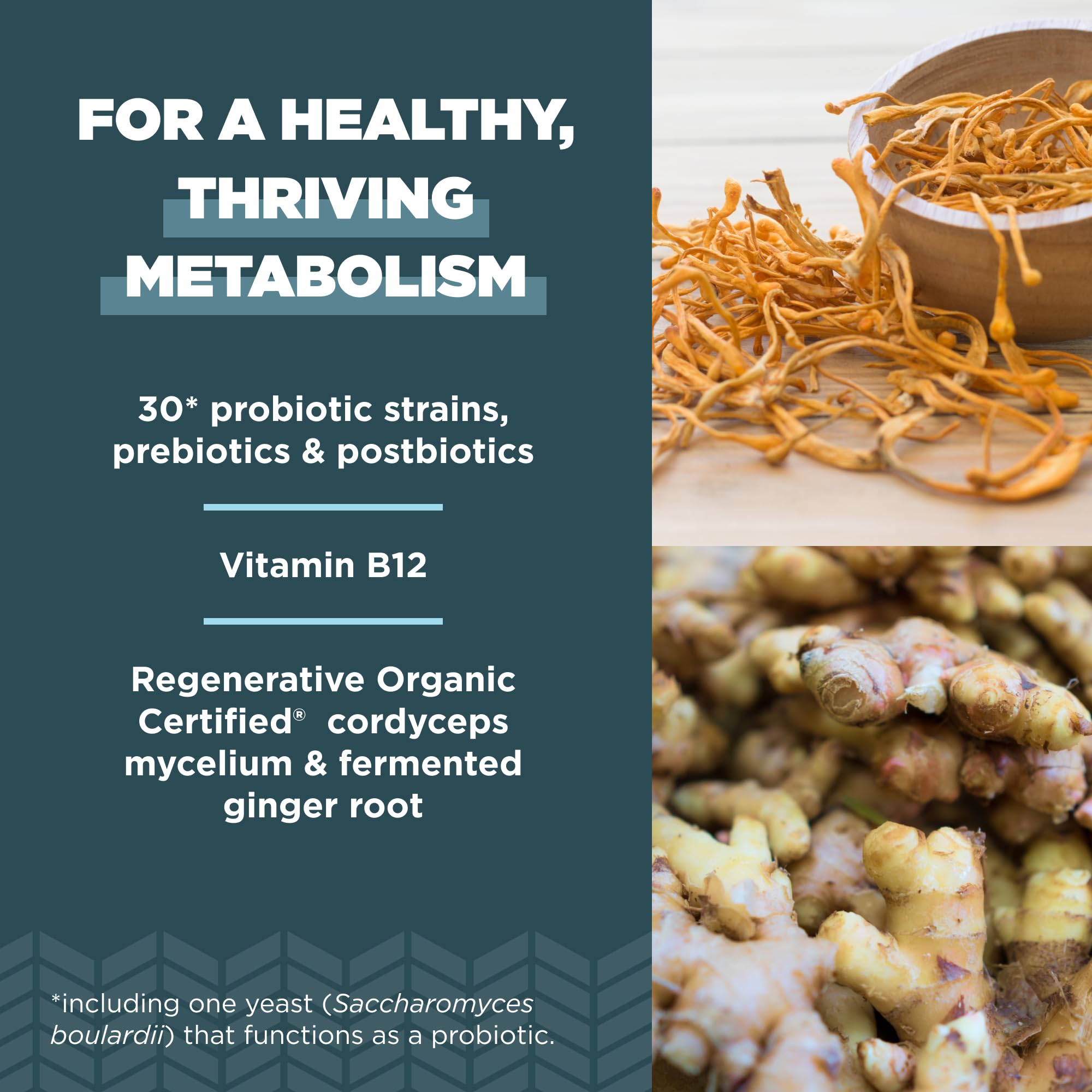Ancient Nutrition a balanced routine Support Probiotics packaging with ingredient list