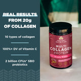 Ancient Nutrition Beauty Within Multi Collagen Powder scoop and powder