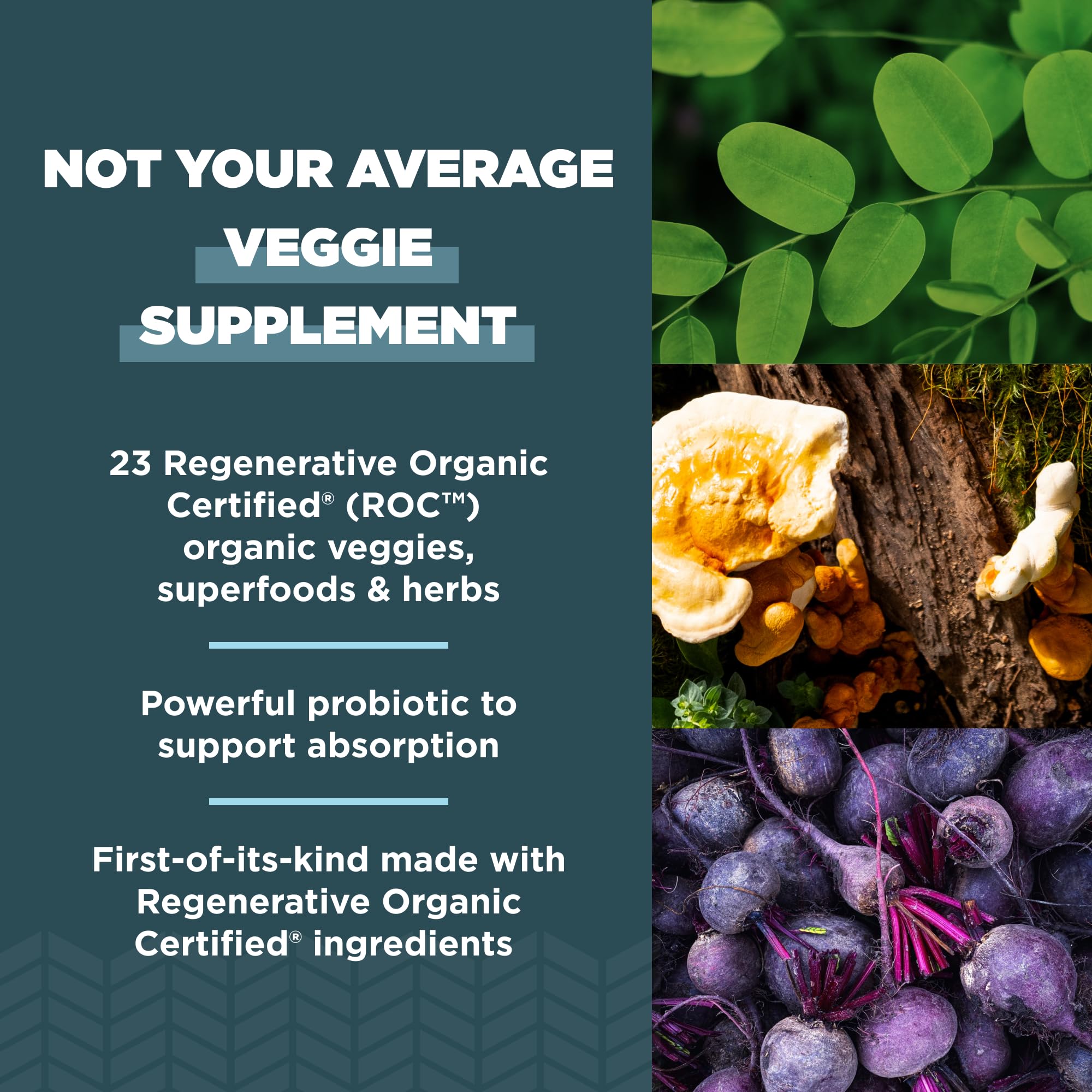 Ancient Nutrition Blended Vitamin & Mineral Supplement 100g serving suggestion