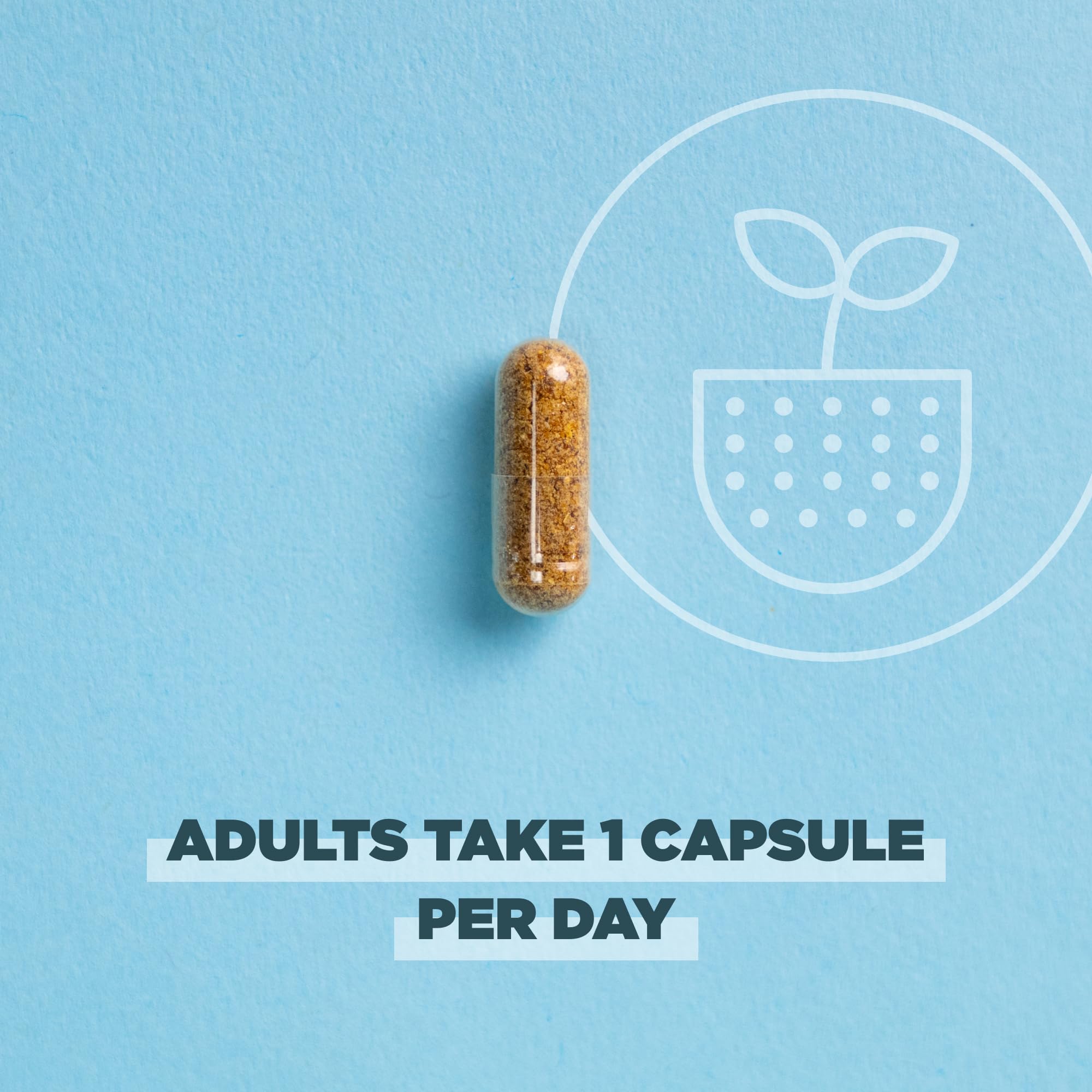 Ancient Nutrition Blended Vitamin & Mineral Supplement close-up of capsules