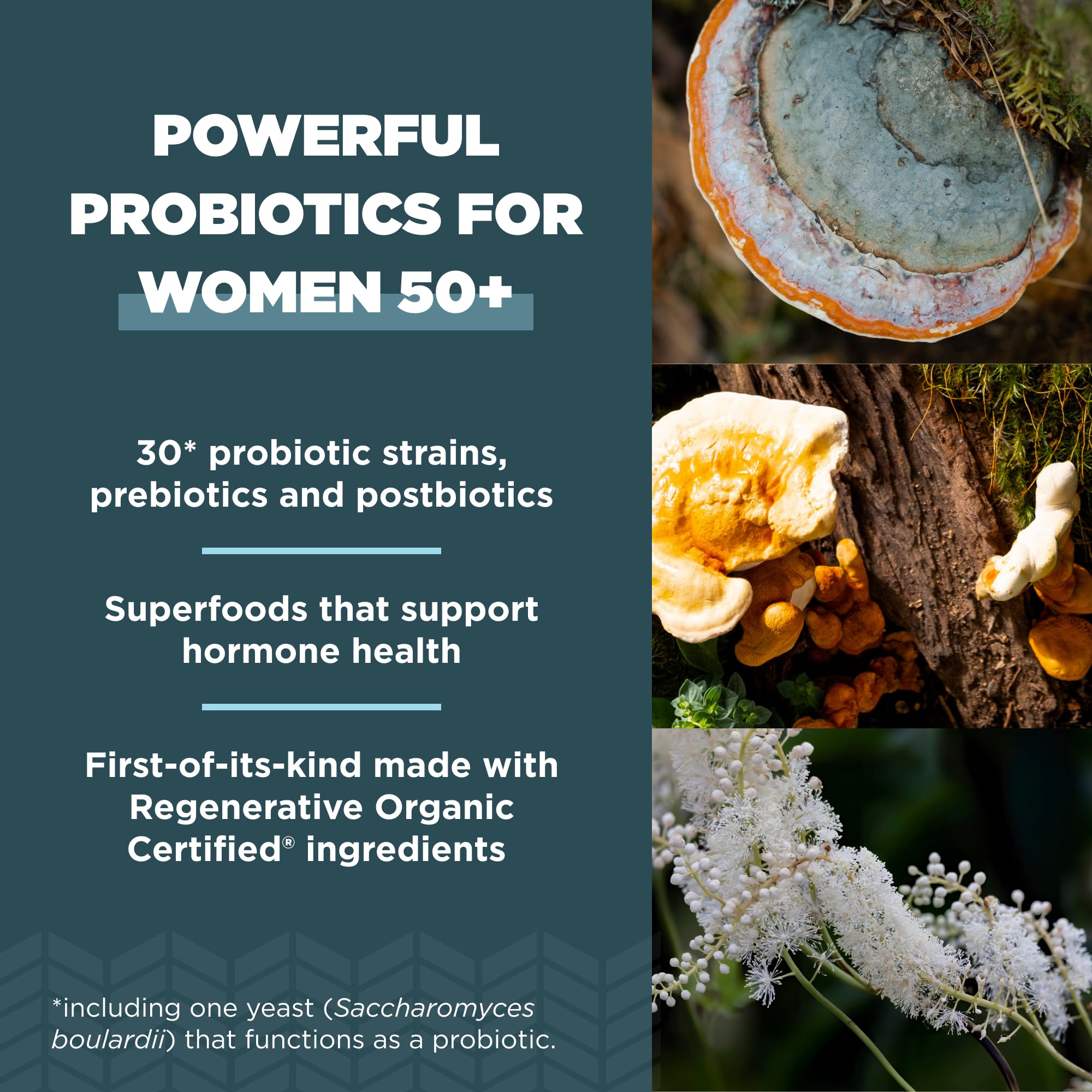 Ancient Nutrition Blended Vitamin & Mineral Supplement ingredients list