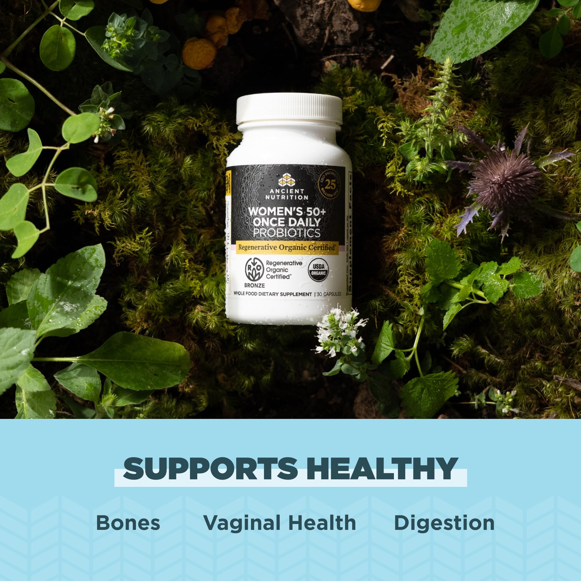 Ancient Nutrition Blended Vitamin & Mineral Supplement packaging details