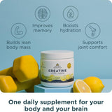 Ancient Nutrition Creatine Monohydrate Powder 28g side view