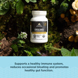 Ancient Nutrition Daily Probiotics bottle with superfoods