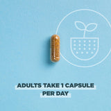 Ancient Nutrition Daily Probiotics capsule close-up
