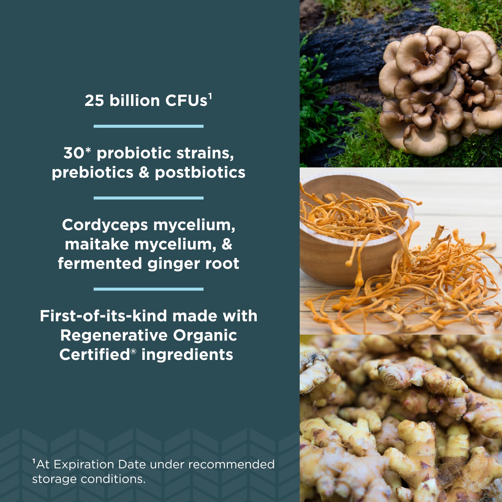 Ancient Nutrition Daily Probiotics ingredients list