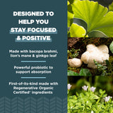 Ancient Nutrition Ginkgo Biloba Herbal Supplement capsules