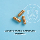 Ancient Nutrition Ginkgo Biloba Herbal Supplement dosage information