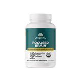 Ancient Nutrition Ginkgo Biloba Herbal Supplement front view