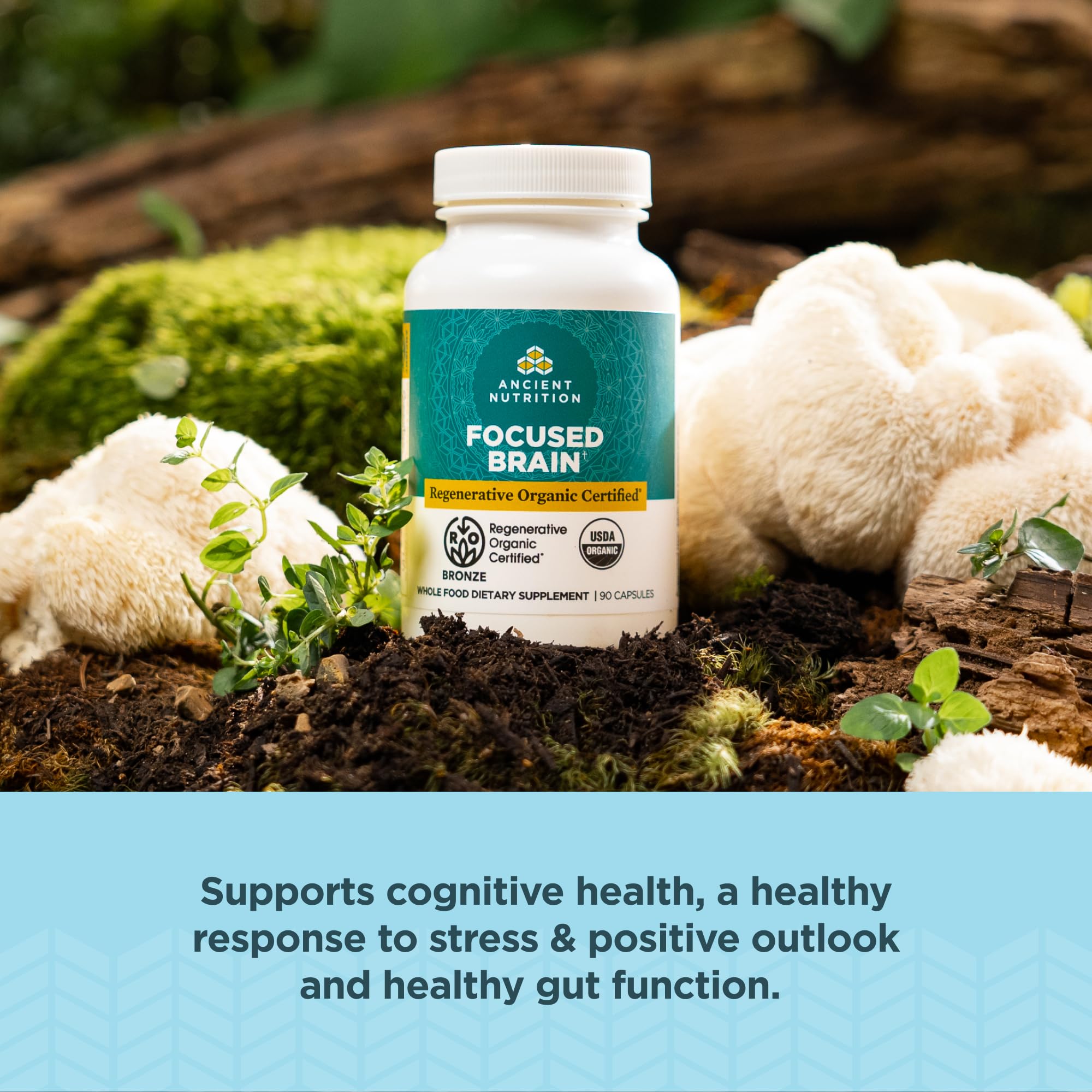 Ancient Nutrition Ginkgo Biloba Herbal Supplement packaging