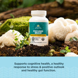 Ancient Nutrition Ginkgo Biloba Herbal Supplement packaging