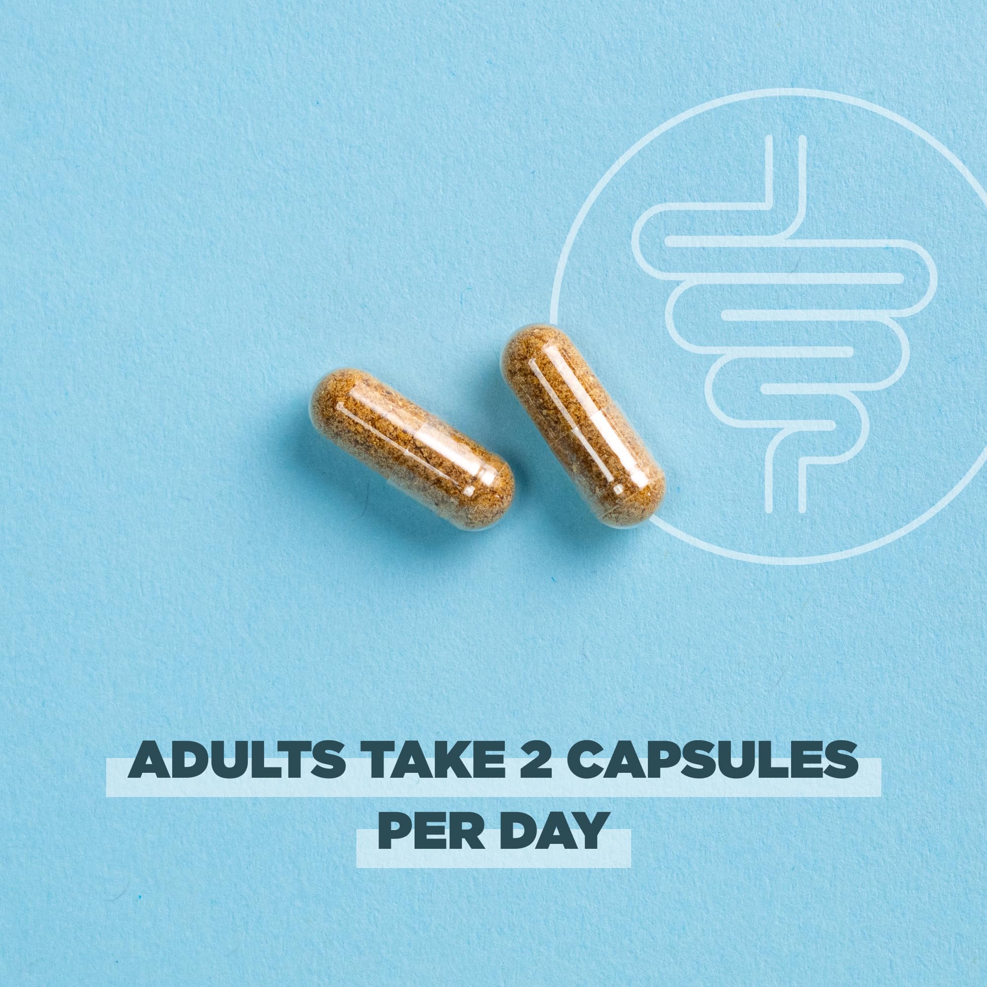 Ancient Nutrition Gut use Probiotics 100g ingredients list