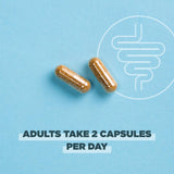Ancient Nutrition Gut use Probiotics 100g ingredients list