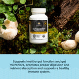 Ancient Nutrition Gut use Probiotics 100g packaging
