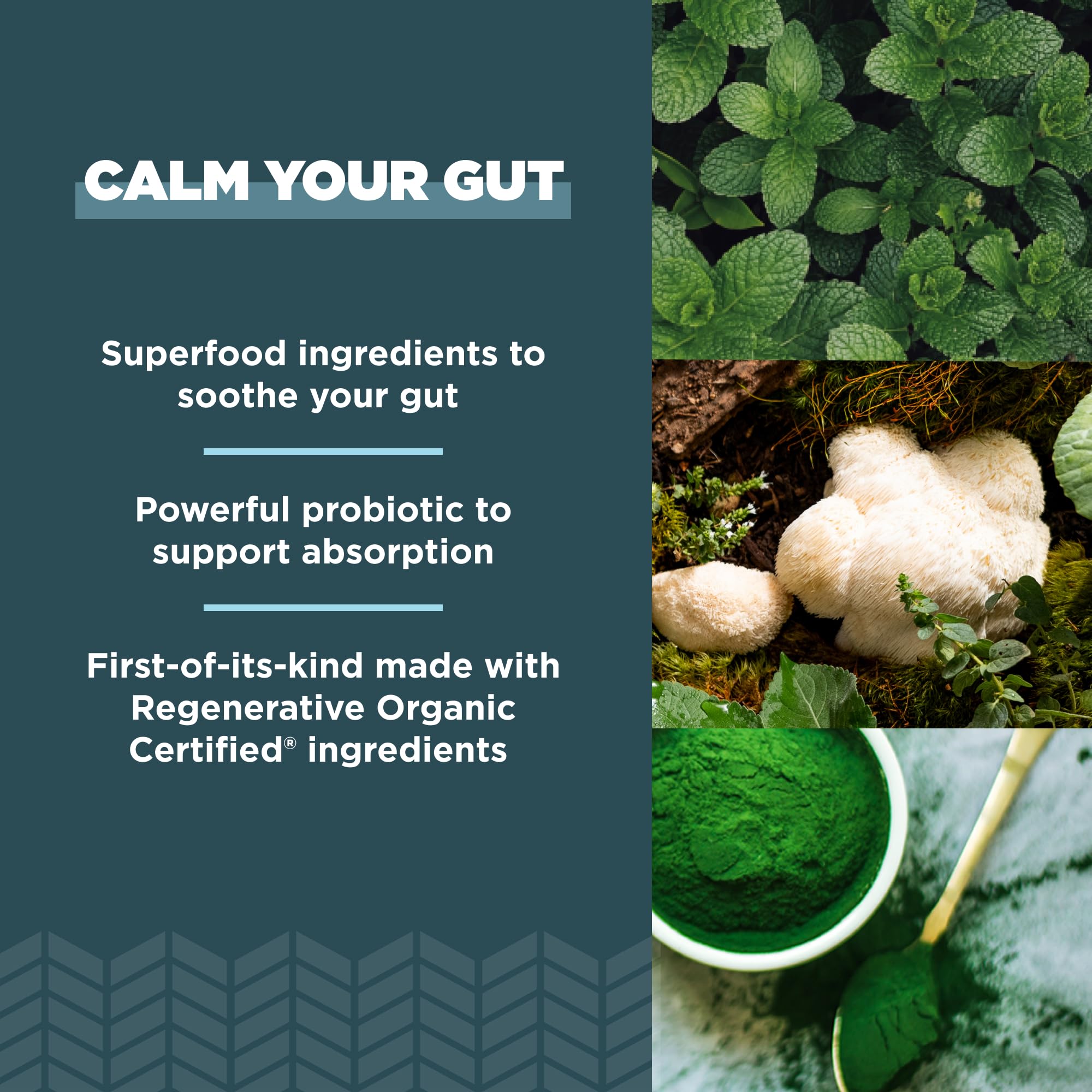 Ancient Nutrition Leaky Gut Support Capsules on a wooden table