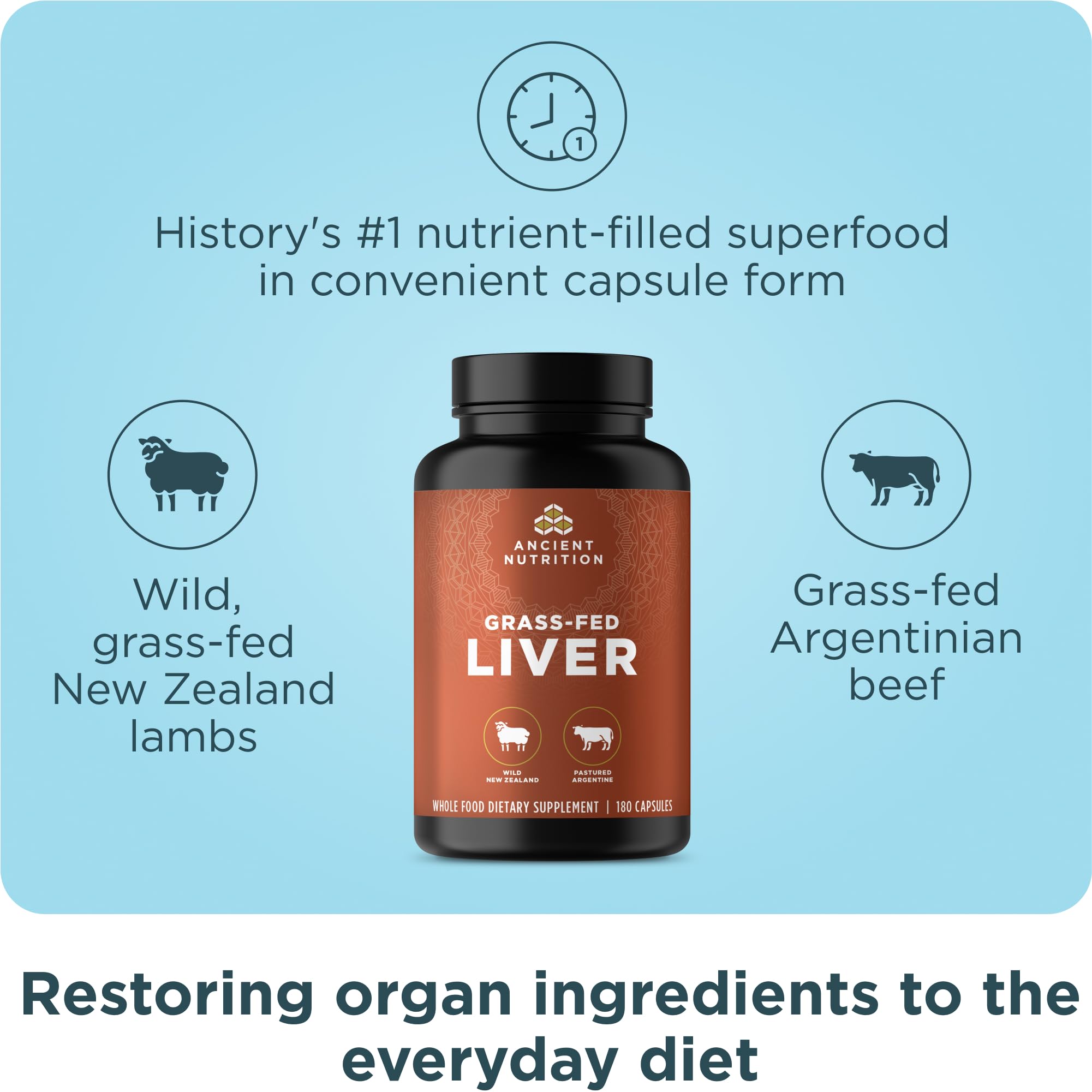 Ancient Nutrition Liver Organ Supplements bottle side view