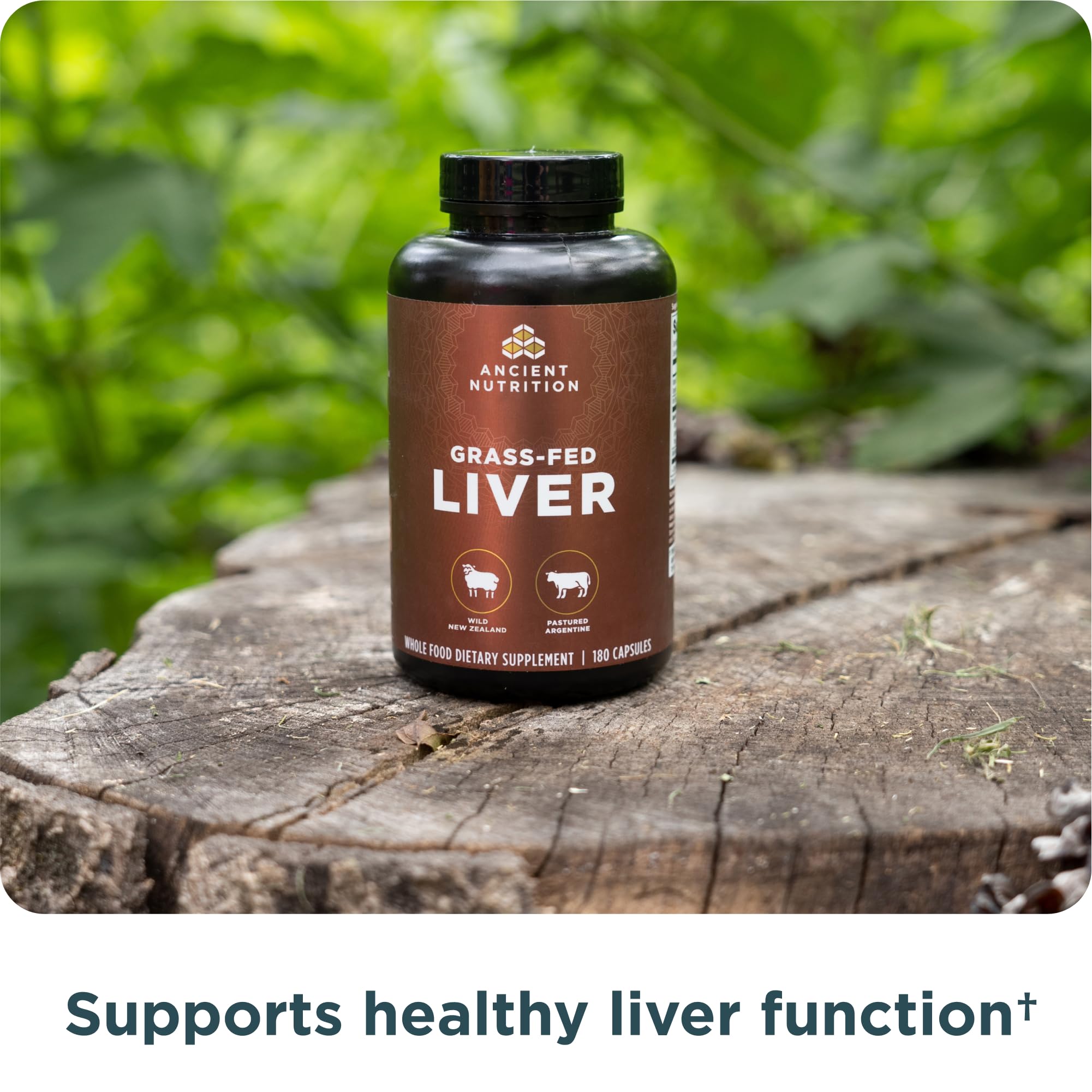 Ancient Nutrition Liver Organ Supplements bottle with capsules