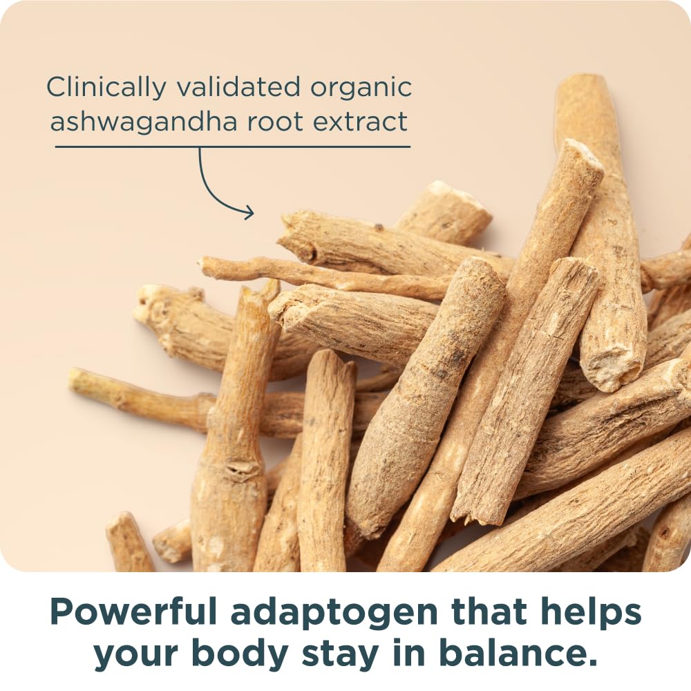 Ancient Nutrition Menopause Support Multivitamin on a table