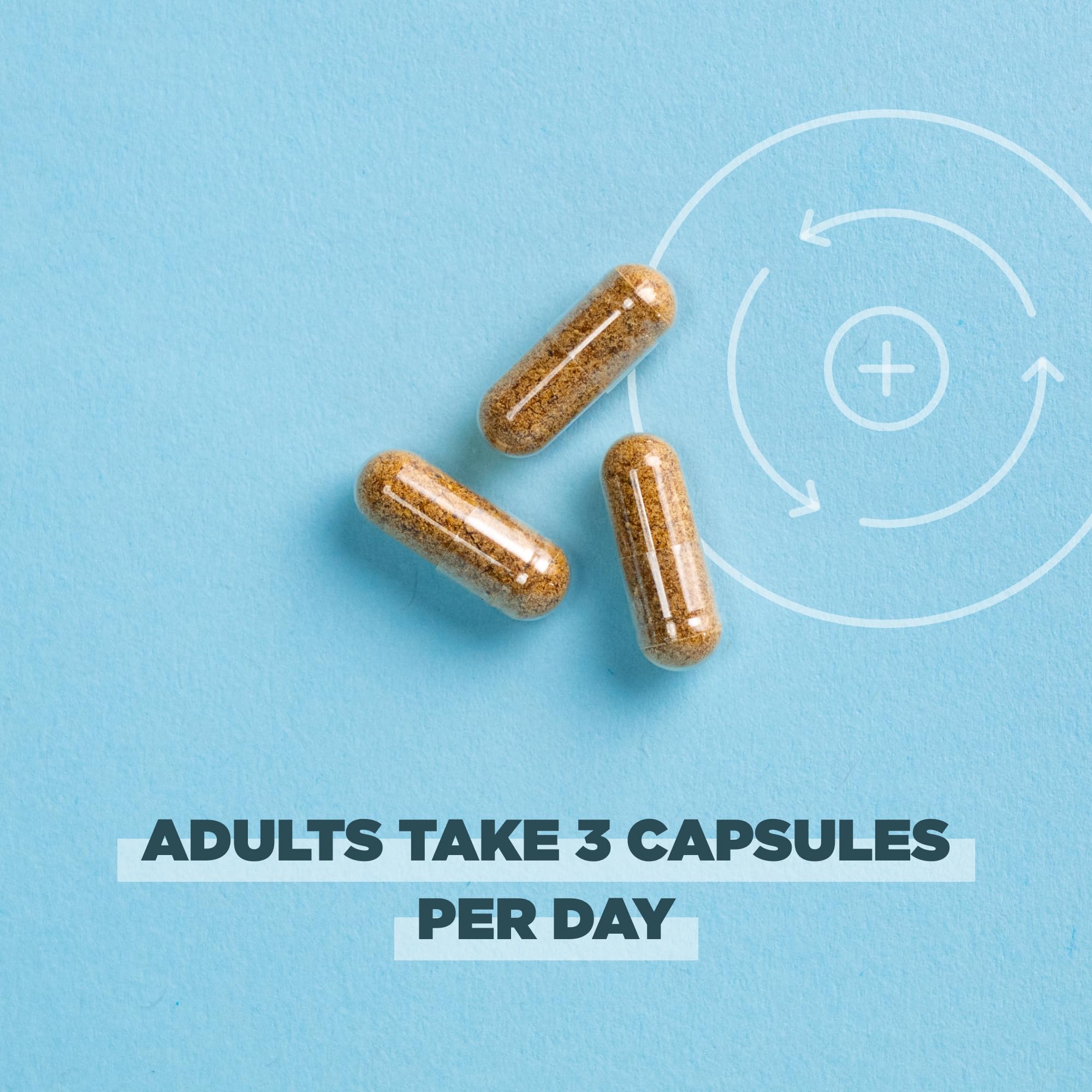 Ancient Nutrition Milk Thistle Supplement 132g capsules