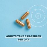 Ancient Nutrition Milk Thistle Supplement 132g capsules