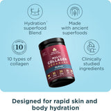 Ancient Nutrition Multi Collagen Advanced Hydrate 590g packaging