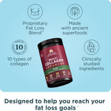 Ancient Nutrition Multi Collagen Complex 549g Powder packaging