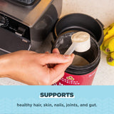 Ancient Nutrition Multi Collagen Protein Brain support ingredients list