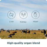 Ancient Nutrition Multi Organ Blend 82g with measuring spoon
