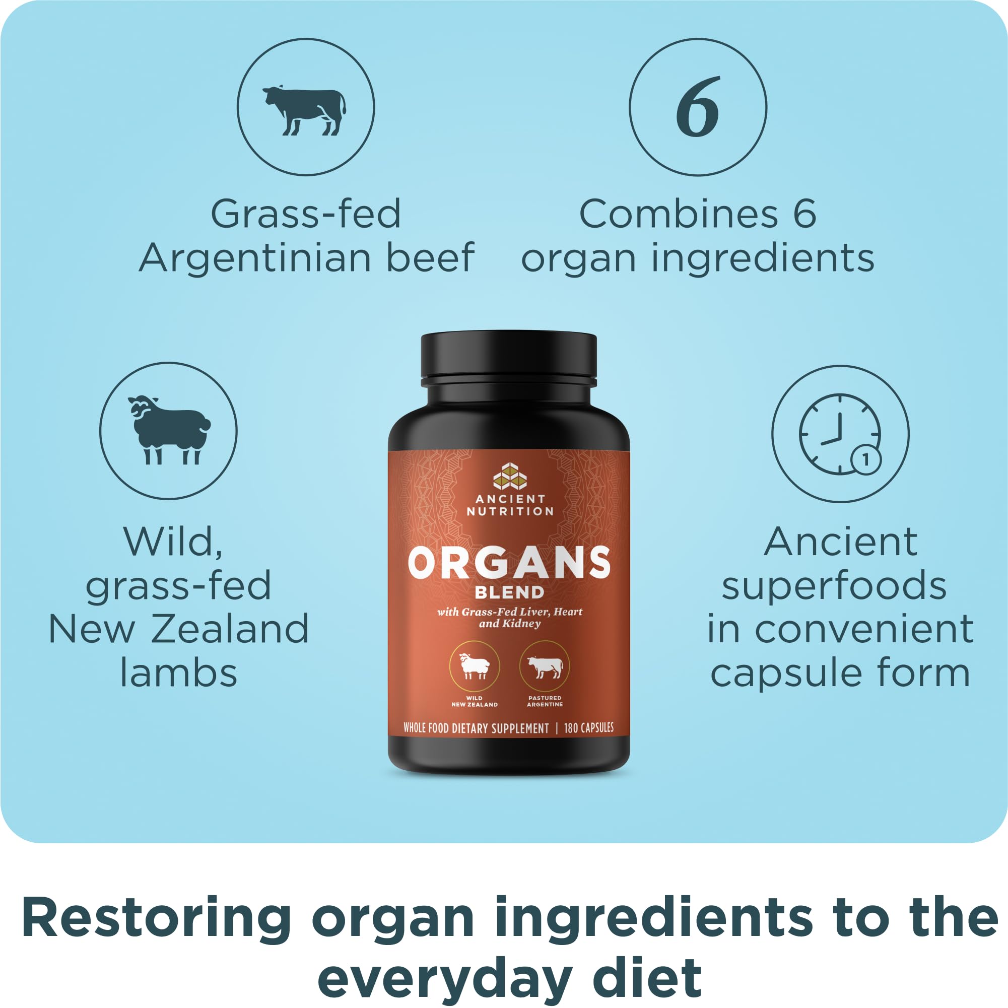 Ancient Nutrition Organ Supplements Complex capsules close-up