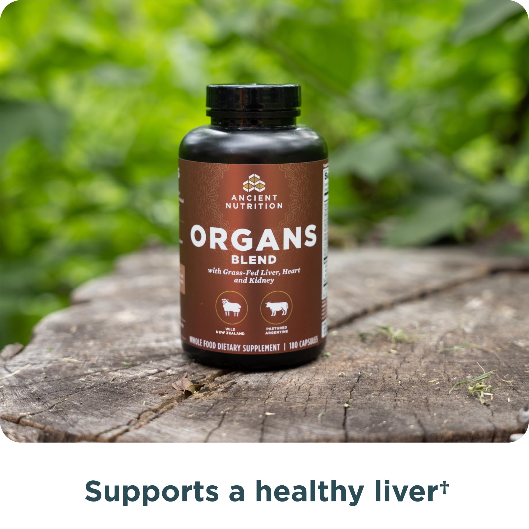 Ancient Nutrition Organ Supplements Complex ingredients list