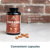 Ancient Nutrition Organ Supplements Complex lifestyle scene