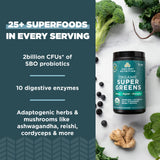 Ancient Nutrition Organic Super Greens Powder scoop with powder