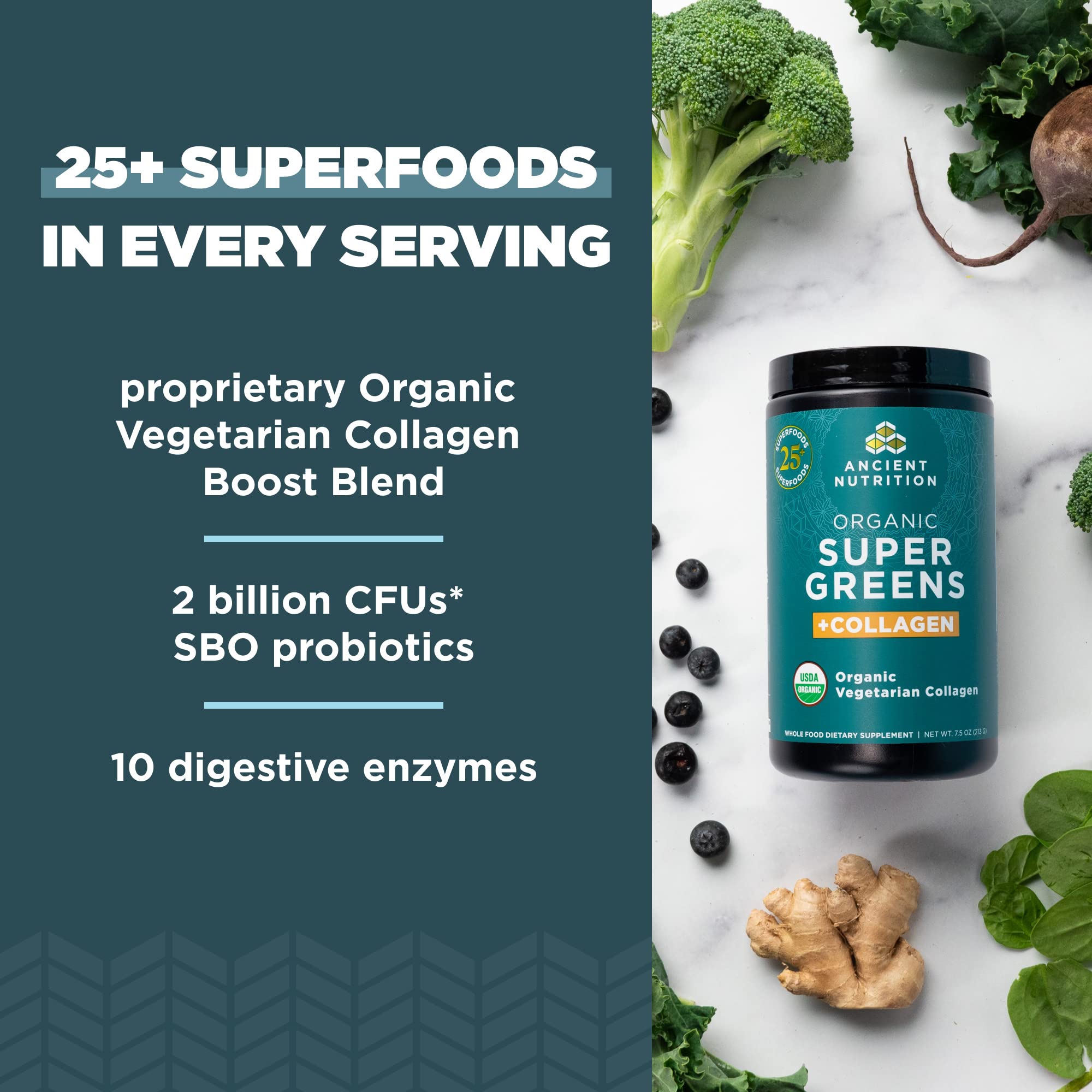 Ancient Nutrition Organic SuperGreens + Organic Collagen powder in a scoop