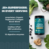Ancient Nutrition Organic SuperGreens + Organic Collagen powder in a scoop
